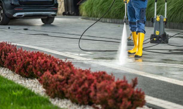 Deck Cleaning Services in Trucksville, PA